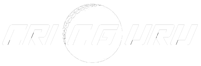 Cricguru Pro logo